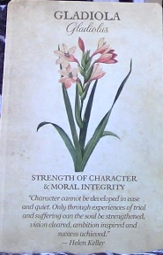 Botanical Inspirations Deck & Book Set